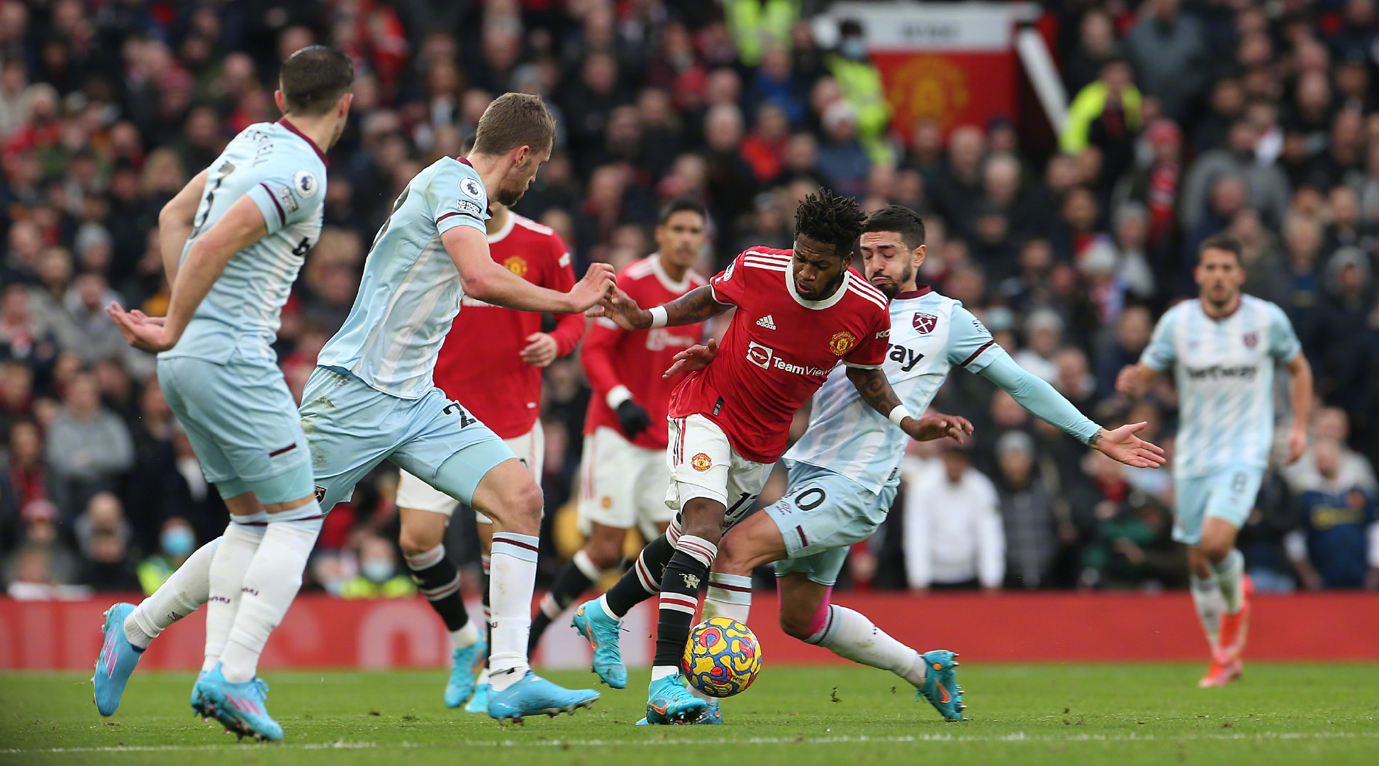 专业教练的 专业教练的